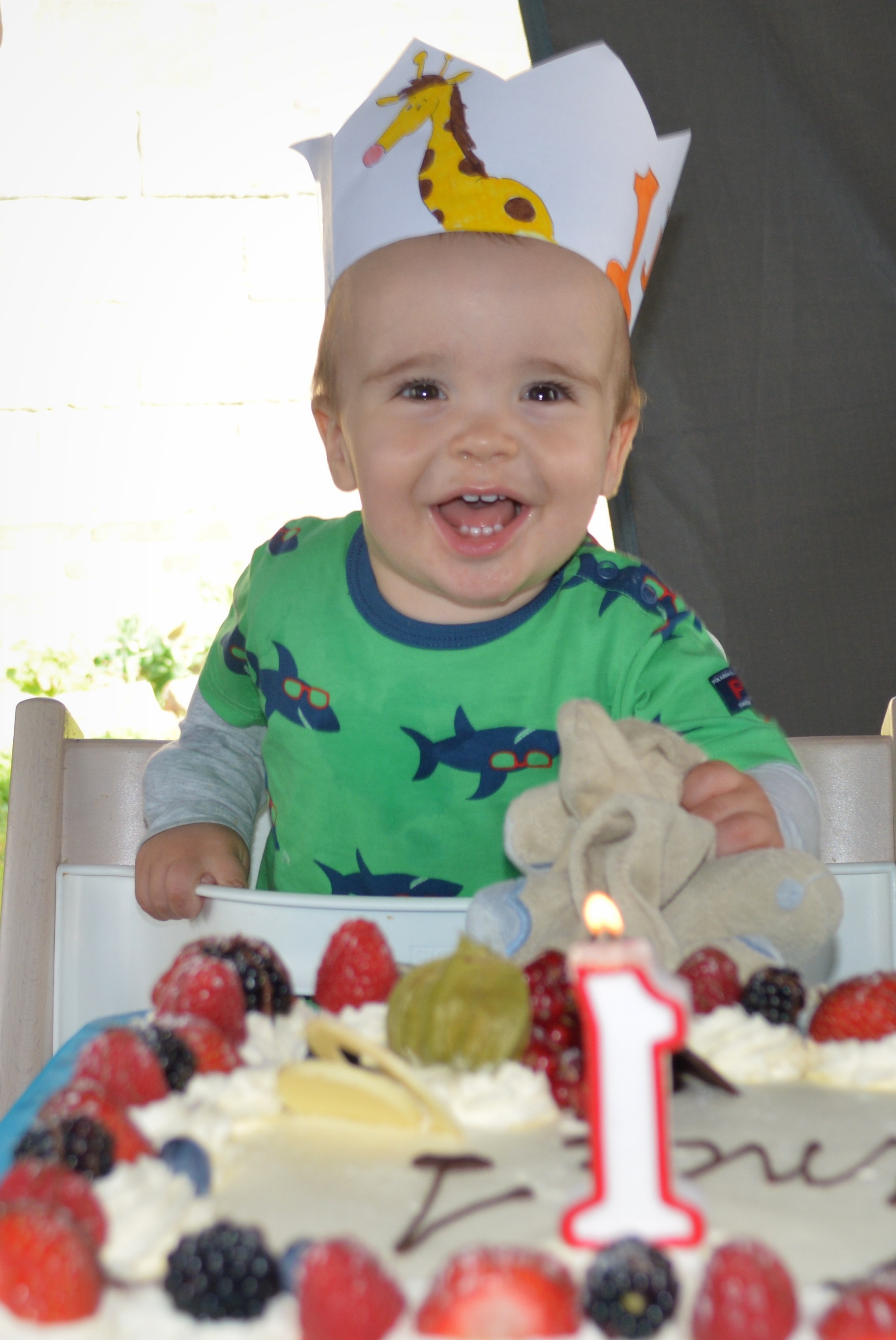 Página interactiva de cumpleaños con muro de saludos y galería